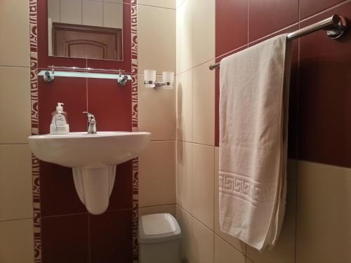 Ένα μπάνιο στο Vila Poarta Bucegilor