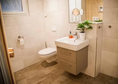 a white bathroom with a toilet and a sink at Apartmenthaus Feldberg in Feldberg