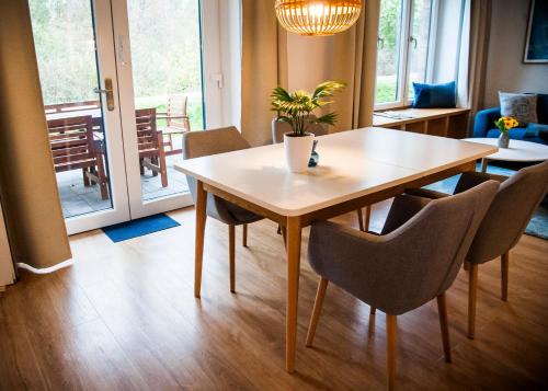 a dining room table with chairs and a potted plant on it at Apartmenthaus Feldberg in Feldberg