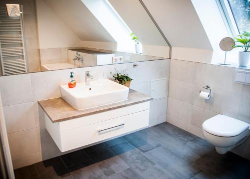a bathroom with a sink and a toilet at Apartmenthaus Feldberg in Feldberg
