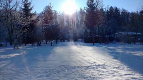 a snow covered field with the sun shining through trees at KNAUS Campingpark Walkenried in Walkenried