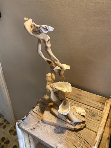 a wooden table with mushrooms on top of it at Salamureci Camere in Trapani