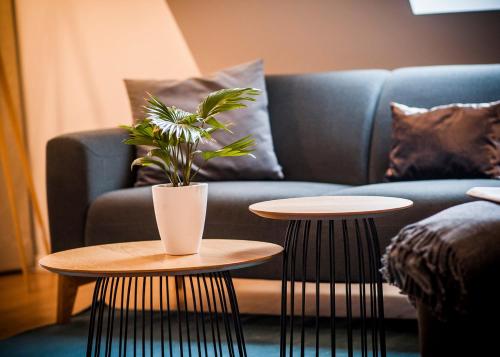 a blue couch with two tables with a plant on it at Apartmenthaus Feldberg in Feldberg
