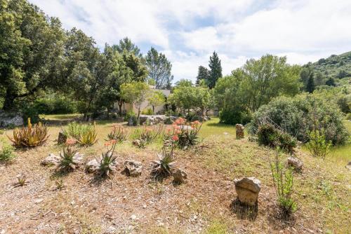 Un jardín fuera de Can Company