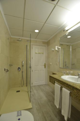 a bathroom with a shower and a sink and a toilet at Hotel Don Curro in Málaga