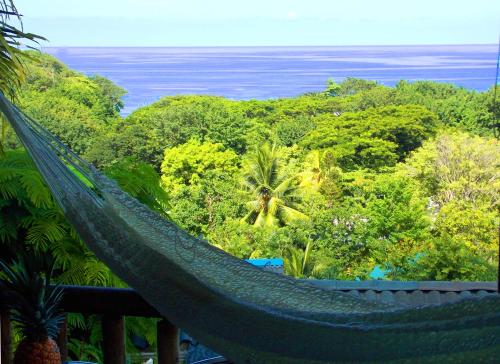 a hammock in a resort with a view of the ocean at Horizon Hotel & Yoga Center in Santa Teresa Beach