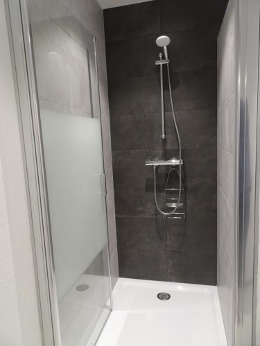 um chuveiro com uma porta de vidro na casa de banho em Maison d'Hôtes Le Cep d'Or Alsace em Saint-Hippolyte