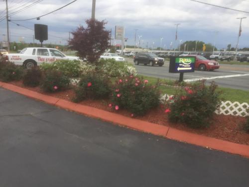 Un jardín fuera de Royalinn & suites