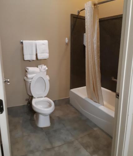 a bathroom with a toilet and a shower and a tub at Cotulla Whitten Inn in Cotulla
