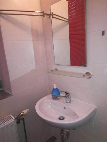 a bathroom with a white sink and a mirror at Kunstgasse 11 Wohnung 8 in Altenburg