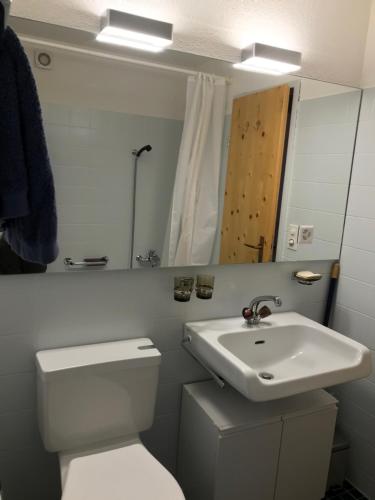 La salle de bains est pourvue de toilettes blanches et d'un lavabo. dans l'établissement Chalet Studio - Top Ausstattung - beste Lage Davos, à Davos