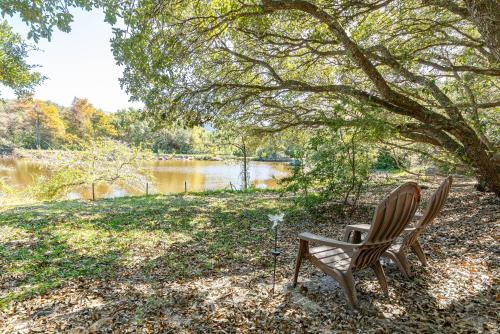 a bench sitting under a tree next to a lake at Pappia in Duck