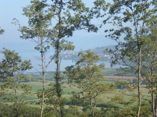a view of a river through the trees at Azienda Agrituristica I Tre Casali in Magione
