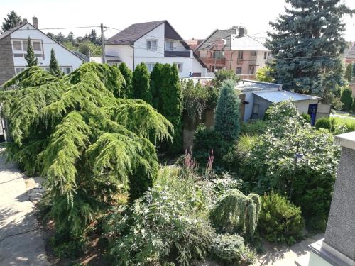 a garden of plants and trees in a neighborhood at Édenkert Apartman in Keszthely