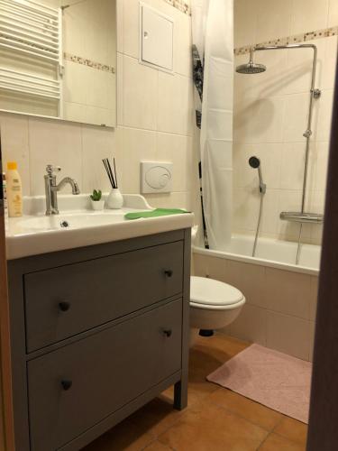 een badkamer met een wastafel, een toilet en een douche bij Über den Dächern des Kaßbergs in Chemnitz