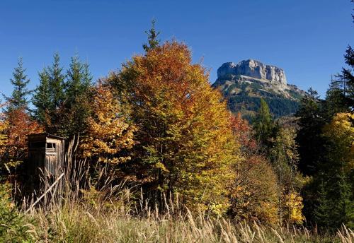 a mountain in the middle of a field with trees at Ferienwohnung Kirchschlager in Bad Aussee