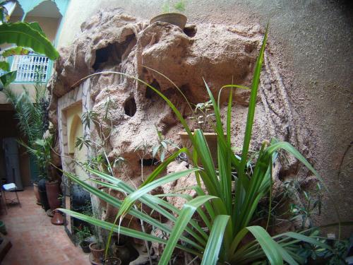 Un jardín fuera de Riad Dar Mchicha