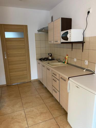 een kleine keuken met een wastafel en een magnetron bij Monti Domki całoroczne in Mierzyn