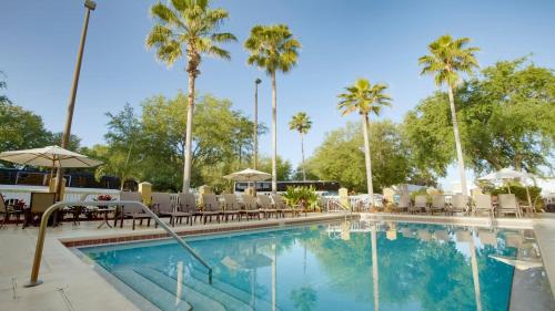 Kolam renang di atau dekat dengan Galleria Palms Orlando - Free Theme Park Shuttles