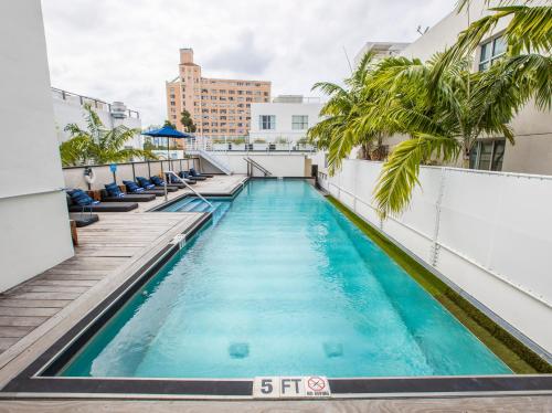 a swimming pool on the roof of a building with palm trees at Posh South Beach in Miami Beach