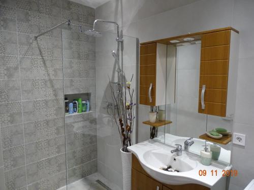 ORA-PRN,cosy apartment in the city center tesisinde bir banyo