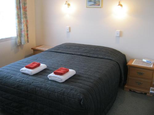 Postel nebo postele na pokoji v ubytování Blue Dolphin Motel