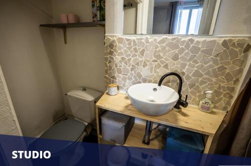 a bathroom with a sink and a toilet at Les Apparts de Blossac Poitiers in Poitiers