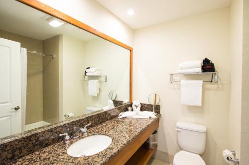 a bathroom with a sink and a toilet and a mirror at Inn at the Cove in Pismo Beach