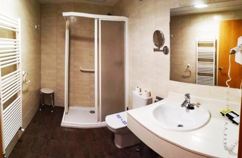 a bathroom with a shower and a sink and a toilet at Hotel Rural Casa Ramiro in Cedrillas