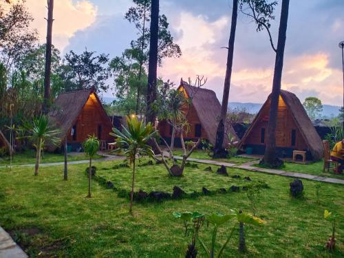 a group of cottages in a forest with palm trees at Triangle House and hot spring in Kintamani