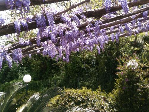 a wreath of purple flowers hanging from a pergola at Casa Fasano Amalfi Coast in Vietri sul Mare