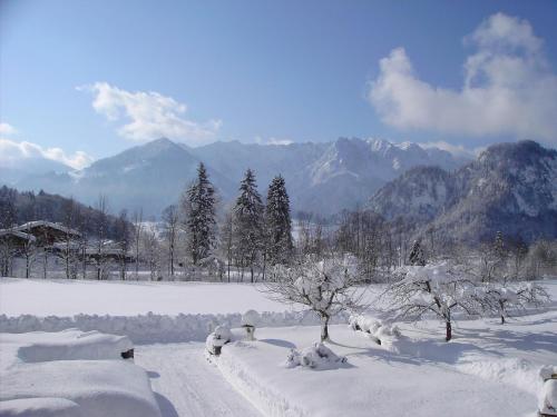 a snow covered field with trees and mountains in the background at Bergheim Komfort Ferienwohnungen in Walchsee