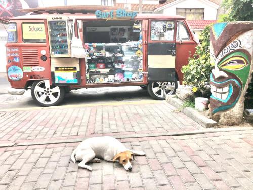 a dog laying on the ground in front of a food cart at Surf hostel My Friends in Huanchaco