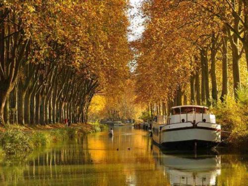 a boat is docked on a river with trees at Chambre d’Hôtes Neptune Wood in Arzens