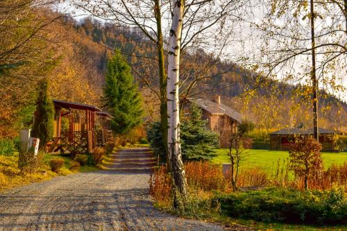 a gravel road leading to a house and a tree at Stanica pod Zadzierną Domki całoroczne in Lubawka