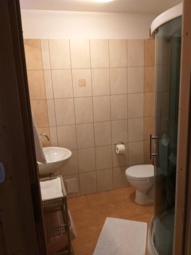 a bathroom with a toilet and a sink at Dom Lidia in Szklarska Poręba