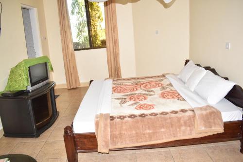 a bedroom with a bed and a tv at Rainbow Executive Lodge in Boma la Ngombe