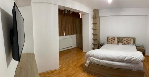 a bedroom with a bed and a flat screen tv at Amedeea Accomodation in Timişoara