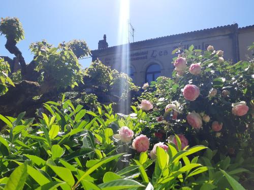Appart'Hôtel Les Tilleuls – Photos 2
