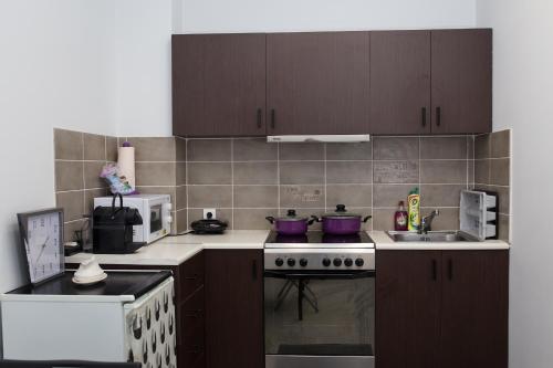 Kuchyň nebo kuchyňský kout v ubytování Dimitras Apartment