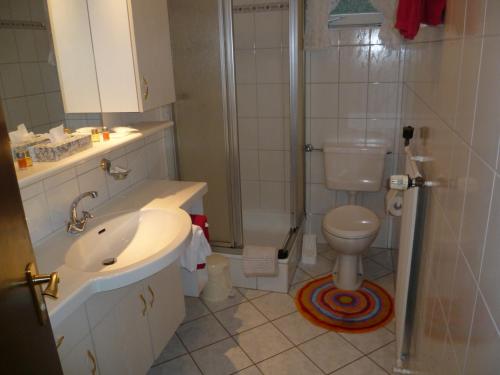 a bathroom with a toilet and a sink and a shower at Wellness und Romantik Hotel Helmboldt in Bad Sachsa