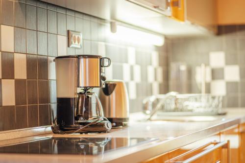 - une cafetière sur un comptoir dans la cuisine dans l'établissement Apartma BOROVC, à Mojstrana