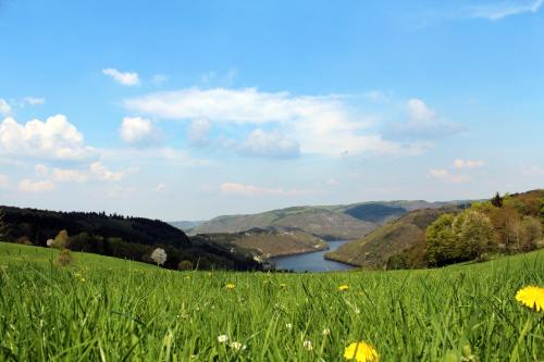 a field of green grass with a lake in the background at Ferienapartment Christine in Simmerath