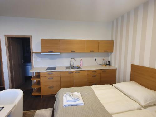 Pokój z łóżkiem, umywalką i kuchnią w obiekcie Apartments 461 w mieście Modřice