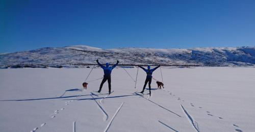 two people and a dog on skis in the snow at STF Hemavans Fjällcenter in Hemavan