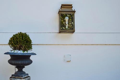 a clock on the side of a building with a plant at Casa Rubinacci in Naples
