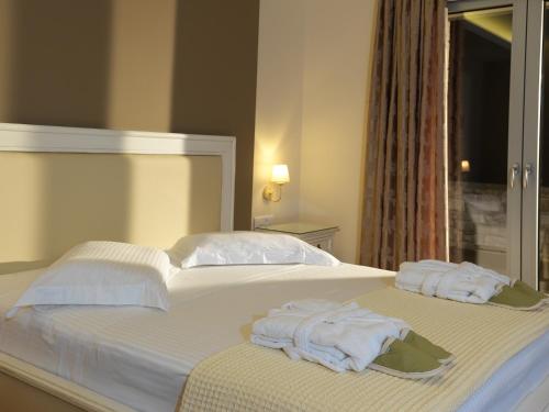 Gallery image of Hondos Classic Hotel & Spa in Nestáni