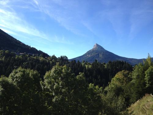 a mountain in the distance with trees in the foreground at Hotel Le Beau Site in Saint-Pierre-de-Chartreuse