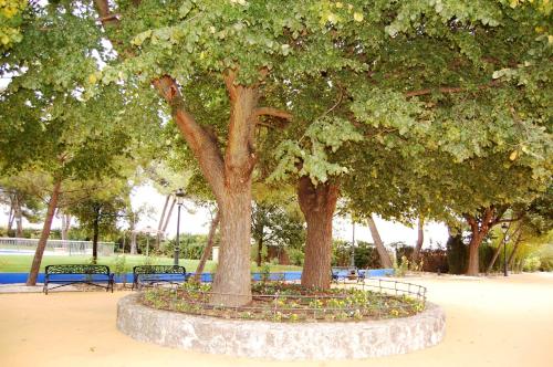 a park with two trees and benches in a park at Hotel El Cortijo de Daimiel in Daimiel