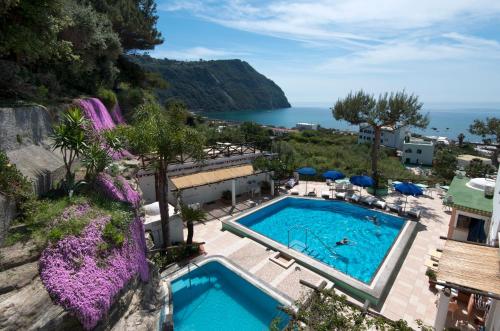 an outdoor swimming pool with a view of the ocean at Hotel Villa Bianca in Ischia